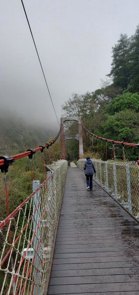 谷關七雄_波津加山 捎來吊橋登山口1958848