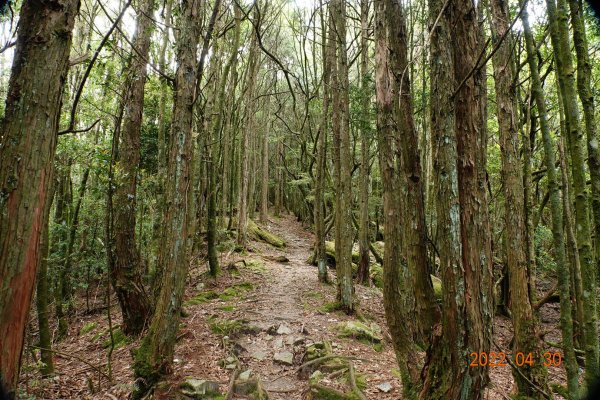 臺中 和平 鞍馬山1697271