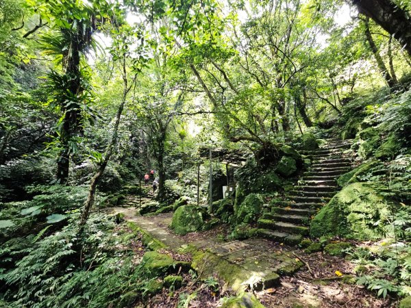 (五分山系)平溪小黃山-2025微笑山線大縱走尋寶集章任務2855292