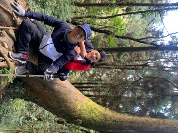 奮起湖大棟山1547917