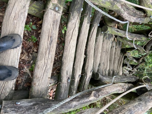 大坑2號原路來回2130465