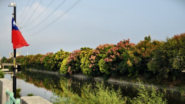 【台灣健行】洛津有夢，歲月留痕：穿梭三百年紅磚與香煙的鹿港絮語3129589