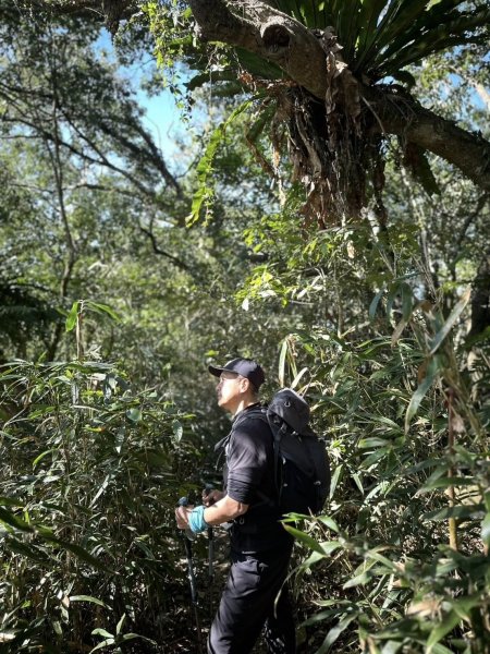 20260212 小百岳白雲山及西阿里關山3002915