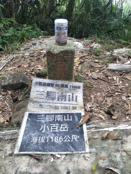 2019 10 29 三腳南山登山步道717769