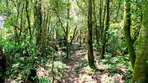 石碇大崙,人頭面山,獅公髻尾山2800425