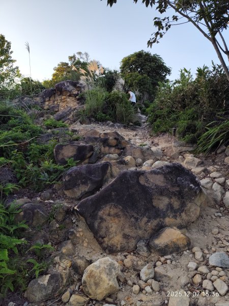【臺北大縱走 5】碧山巖→忠勇山越嶺步道→金龍產業道路→圓明寺步道→鄭成功廟→潛園→格物台→劍潭古寺2959019