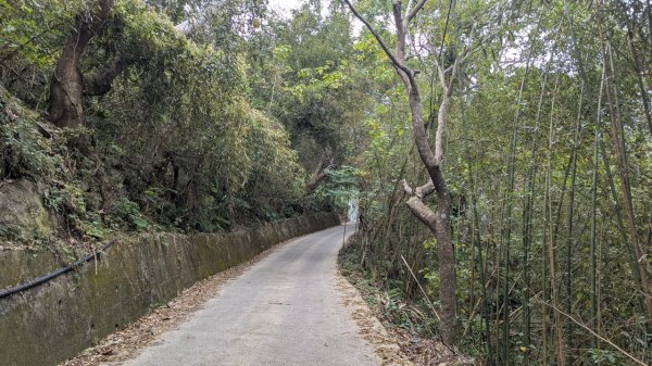 橫龍山、橫龍古道2682940