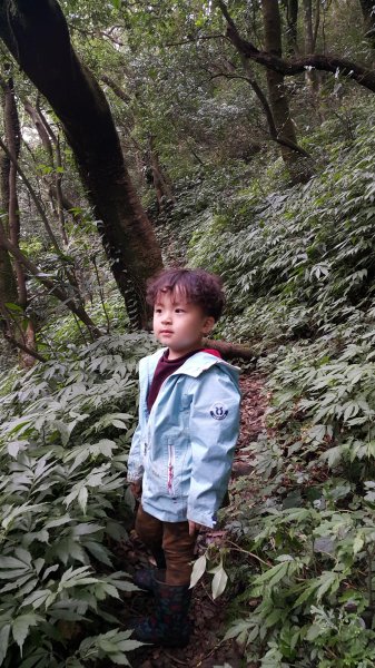 阿興阿賢小觀音山562675