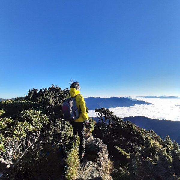 BucketList〡東夕彩 • 北曙光〡滿溢棉花雲海