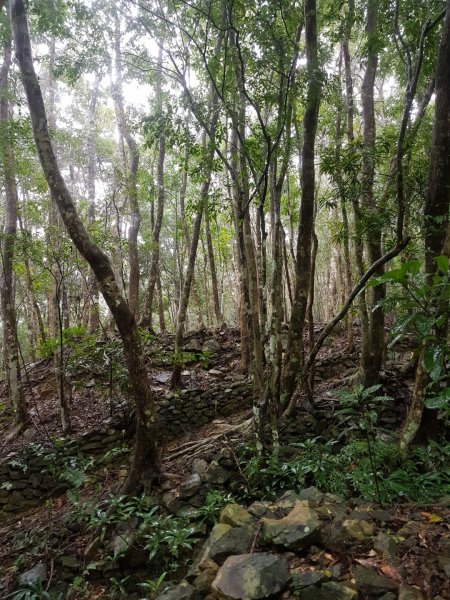  雨下不停之浸水營古道~908009