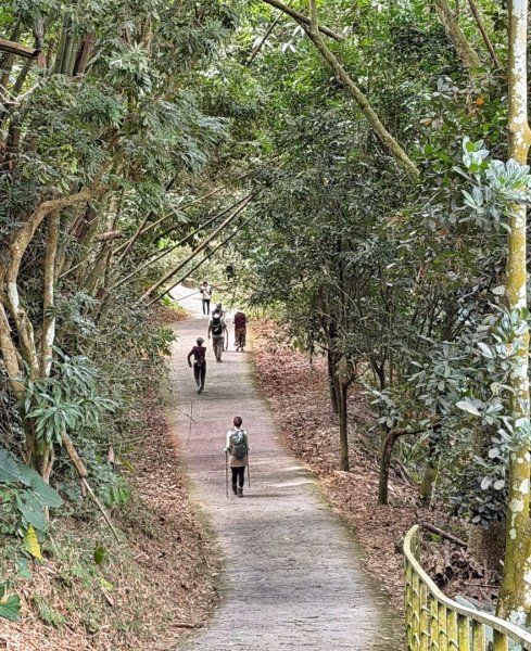 龍過脈森林步道2960920