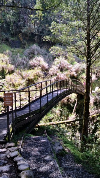 見晴懷古步道964556