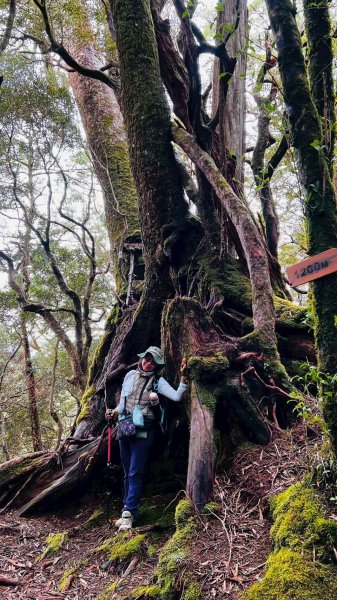 🌈4/13（日）（三）魔法森林-塔曼山~FB：熊熊趴爬走🌈2761311