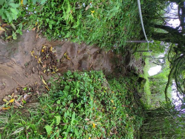 第二段：二子坪→小油坑2759589