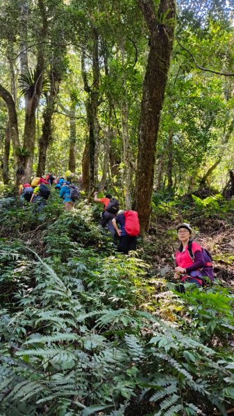 唐穗山11408162860923