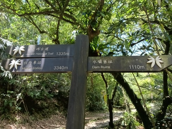 雙溪區淡蘭山徑-燦光寮古道+貂山古道O型2774857