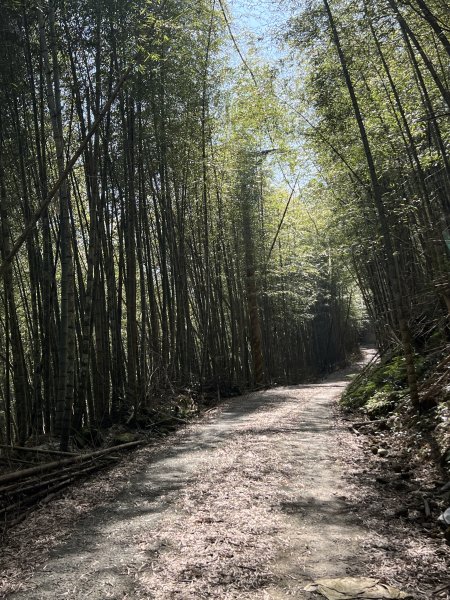小百岳-集集大山2708179