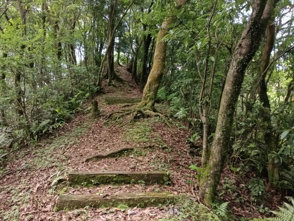 汐止區磐石嶺福興宮+581峰+雙十塔+耳空龜山+四分尾山+大尖山2805713