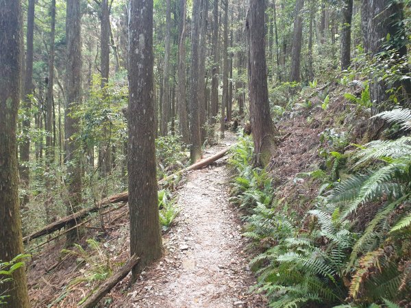 橫嶺山、沙蓮山與笛吹山1563367