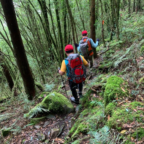 20200特富野，東水山，兒玉山O型縱走1064314