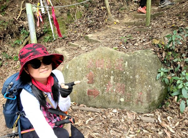 小百岳關刀山889m+銅鑼杭菊1924031