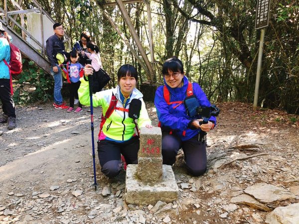 108.12.14台中稍來山（紅榨槭，夕776878