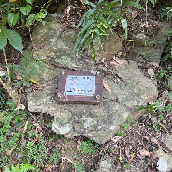 20251011_立霧山認證點（花蓮小百岳）2941275