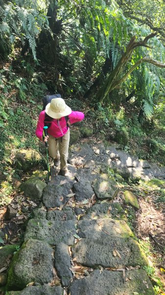 2026-0213 苗圃-凱達格蘭山-七星錐-七星山南峰-小油坑-竹子湖-水車寮步道-湖田猴崁步道-3005654