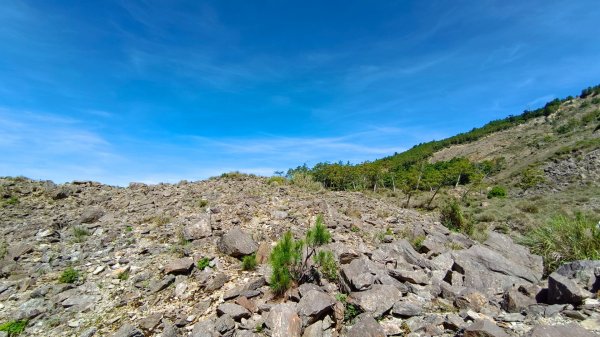 小關山林道27.5k登小關山1795011