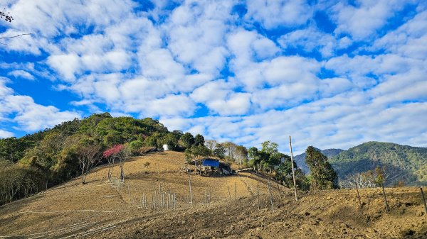 20260127獵人古道3031771