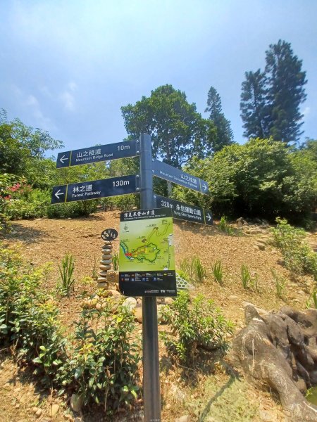 【台中大甲】規劃完善的親民步道。 桂花泉登山步道2862466