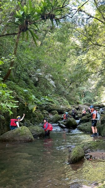 坪林-碧湖溪-蛋糕瀑布群（溯溪）2820923