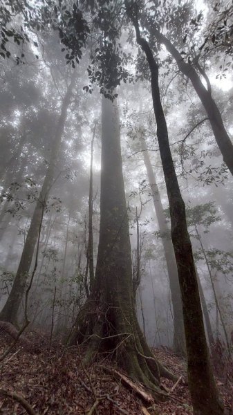 🌈3/29（六）巴蜈縱走~FB：熊熊趴爬走🌈2749798