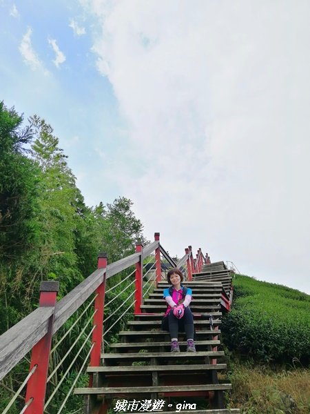 【雲嘉】超美的茶園竹林風光。小百岳集起來。#56小百岳雲嘉大尖山x二尖山x馬鞍山x#57小百岳梨子腳1453704