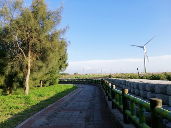 台中大安~風車轉轉~龜殼生態公園景觀步道1014957