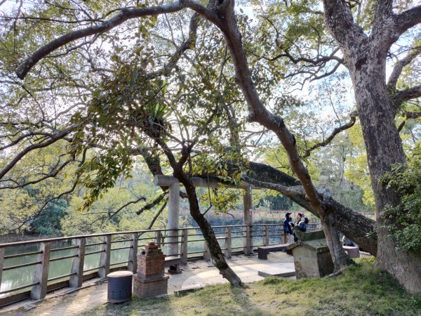 2024.01.07 橫山三叉埤、墩子銃古道2843818