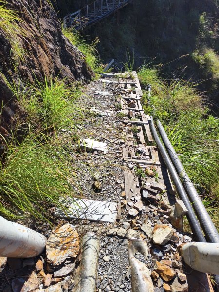 [玉山尋寶任務-07/12] 2025_0824 八通關雲龍瀑布步道2870663