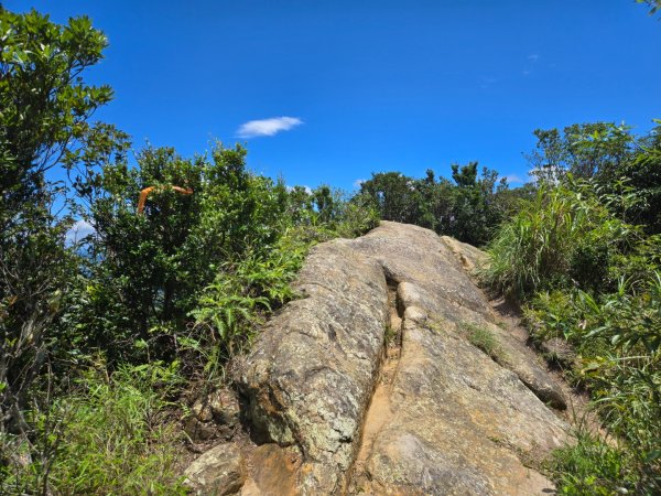 馬武督探索森林、外鳥嘴山2860622
