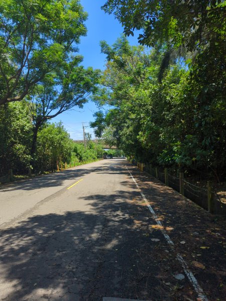 2025.07.26－霄裡好風光：觀音~新屋自行車道2847839