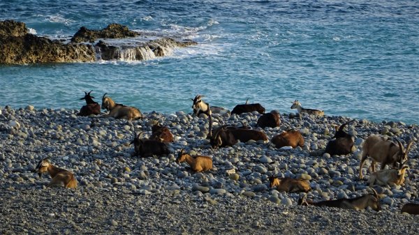 蘭嶼紅頭山及大小天池之行品味山海原始之美1065761