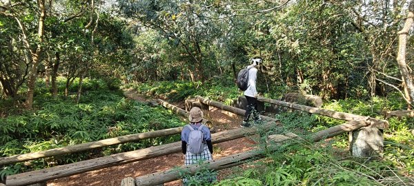 2024/12/28-蓮華山古道群：飛龍步道、進香古道、採茶古道、載熙古道2678898