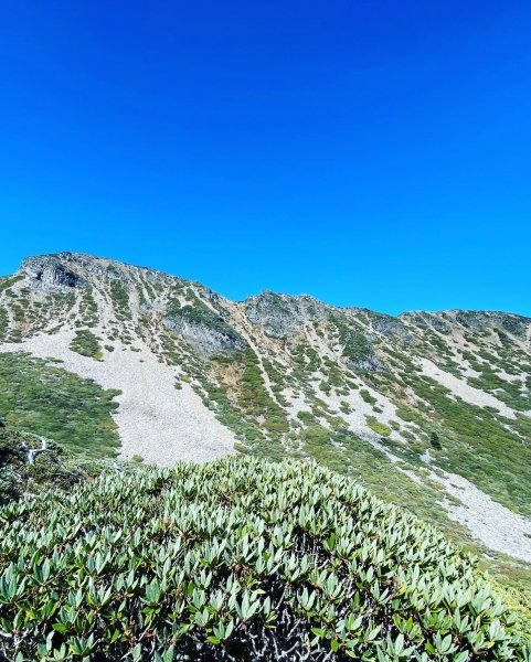 與孩子同行 2022/11/05~2022/11/06雪山主峰(七卡起登)1920760