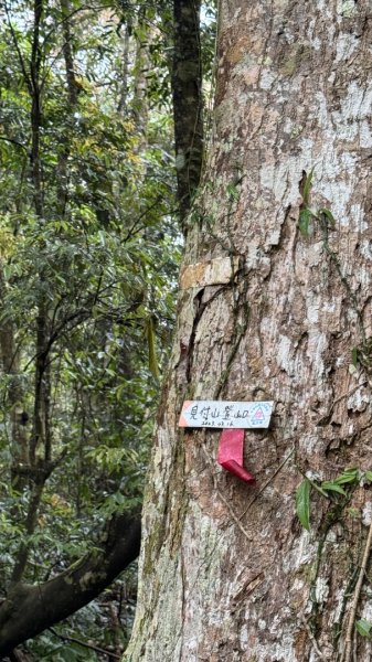 六龜警備線南段（藤枝-茂林）2天1夜2758254