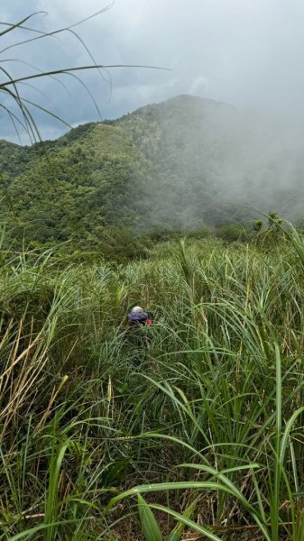 石龜山、叢雲山O走2592616