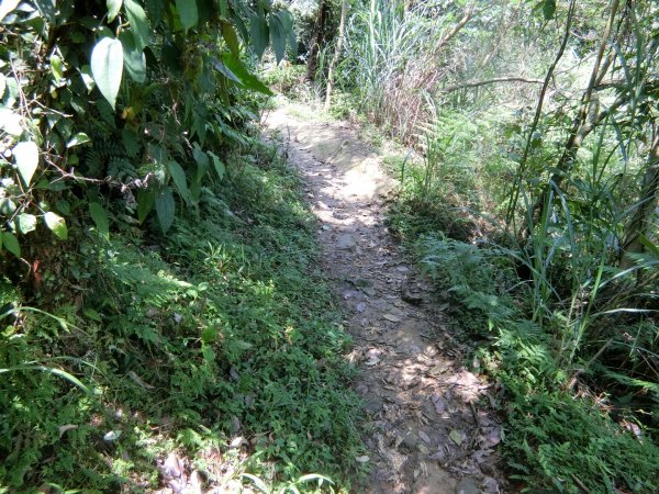 草嶺古道（福隆到大里）960314