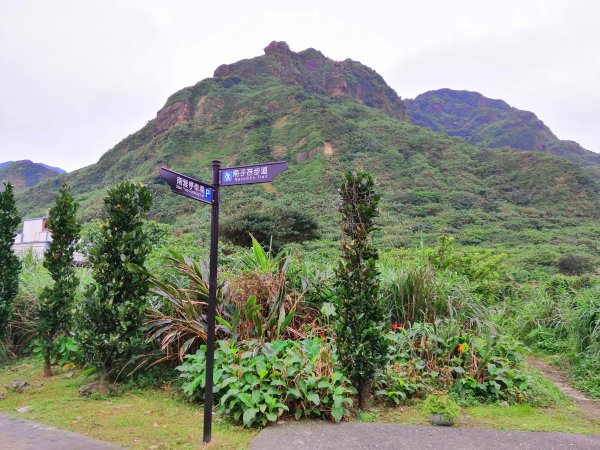 盡攬山海景迷人景緻。南子吝登山步道754302