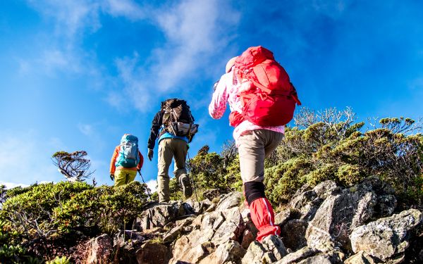 兒童是否適合跟家長攀爬高山