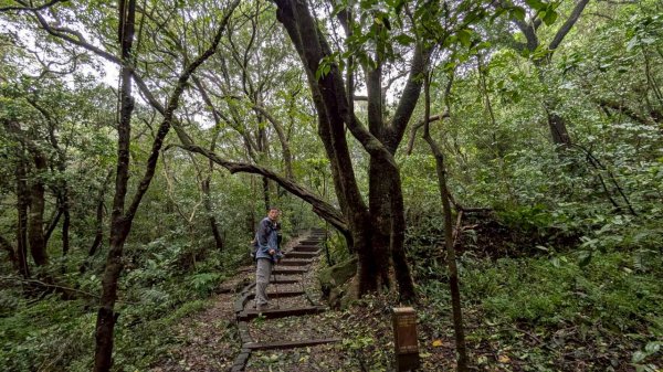 114.11.01旅聯網21週年活動之七星山-七星山東峰-七星公園-夢幻湖2928903