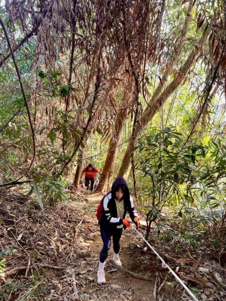 🌈12/25（日）聖誕節~小百岳大橫屏山~雲海☁️滿滿+行者咖啡館+糯米橋✨FB：熊熊趴爬走🌈2969993