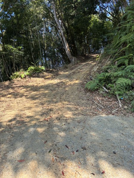 20260322[公車]石壁山&嘉南雲峰3019924